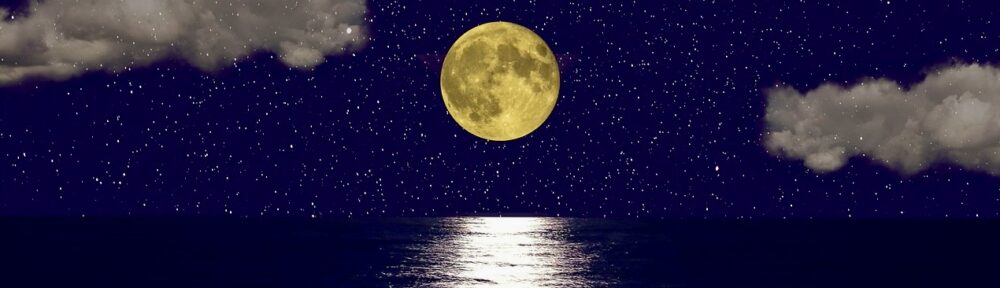 Ansgar Schäfer Blog